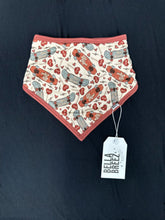 Load image into Gallery viewer, Be Mine Bamboo Bib (FINAL SALE)