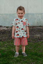 Load image into Gallery viewer, Muslin Farm Boys Set
